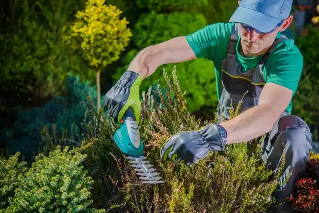 landscaping services Montgomery